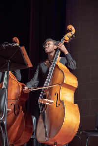 A double bass player performs in a concert.